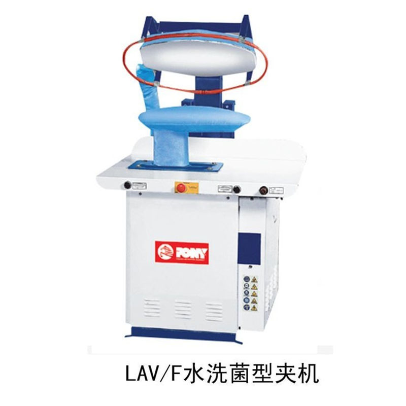 الصورة التالية